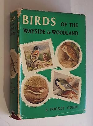 Birds of the Wayside & Woodland (ed. Enid Blyton)