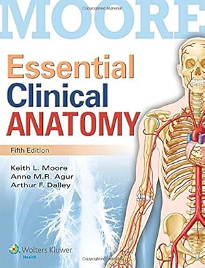 Immagine del venditore per Moore Essential Clinical Anatomy venduto da Pieuler Store