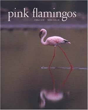 Immagine del venditore per Pink Flamingos: Interviews with Jean-Louis Missika and Dominique Wolton = Le Spectateur Engage venduto da WeBuyBooks