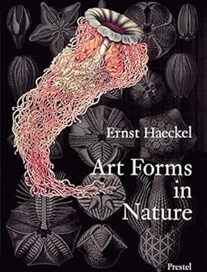 Bild des Verkufers fr Art Forms in Nature: The Prints of Ernst Haeckel zum Verkauf von Pieuler Store