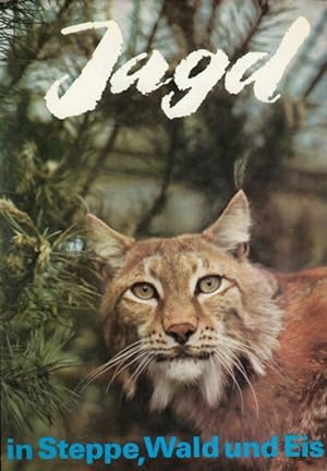 Jagd in Steppe, Wald und Eis Sowjetische Jäger erzählen .