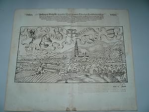 Freiburg/Breisgau,S.Münster,anno 1570 Stadtansicht aus Sebastian Münster, Cosmographia, anno 1570...