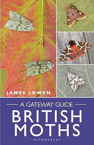 British Moths. A Gateway Guide.