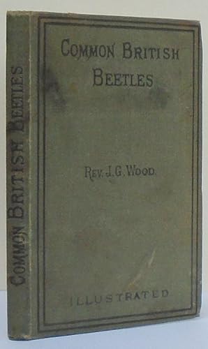 Common British Beetles.