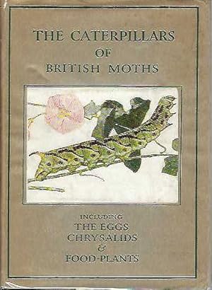 Imagen del vendedor de The Caterpillars of British Moths. Including Eggs, Chrysalids and Food-Plants. Wayside and Woodland Series. a la venta por C. Arden (Bookseller) ABA
