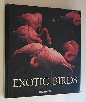 Exotic Birds (1989)