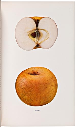 Seller image for THE APPLES OF NEW YORK VOLUME I.REPORT OF THE NEW YORK AGRICULTURAL EXPERIMENT STATION FOR THE YEAR 1903 for sale by William Reese Company - Americana