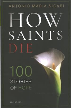 Immagine del venditore per How Saints Die : 100 Stories of Hope venduto da GreatBookPrices