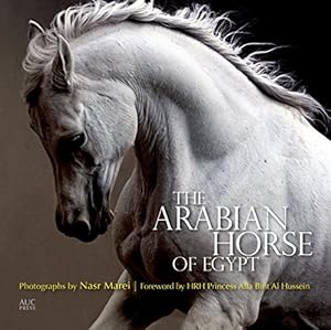 Seller image for The Arabian Horse of Egypt for sale by Pieuler Store