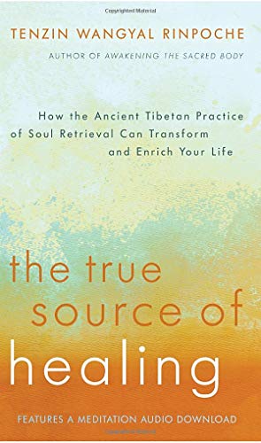 Seller image for The True Source of Healing: How the Ancient Tibetan Practice of Soul Retrieval Can Transform and Enrich Your Life for sale by Pieuler Store