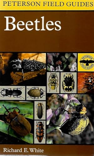 Seller image for A Field Guide to the Beetles of North America for sale by PEMBERLEY NATURAL HISTORY BOOKS BA, ABA