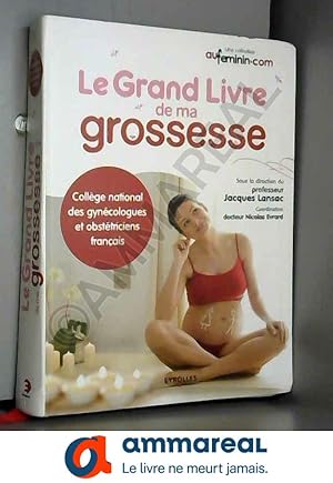 Seller image for Le grand livre de ma grossesse for sale by Ammareal