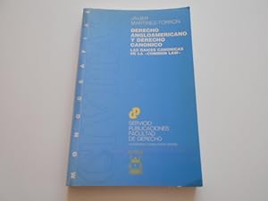 Image du vendeur pour Derecho Angloamericano y Derecho Cannico. Las races cannicas de la Common law. mis en vente par Librera Camino Bulnes