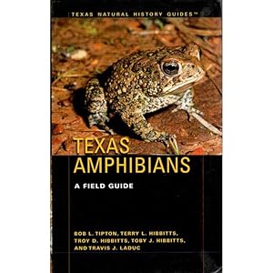Texas Amphibians: A Field Guide