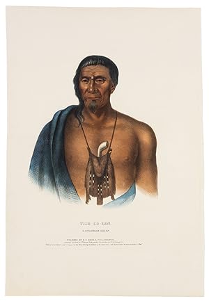 Tish-Co-Han, A Delaware Chief