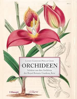 Image du vendeur pour Orchideen - Schtze aus den Archiven der Royal Botanic Gardens, Kew mis en vente par primatexxt Buchversand