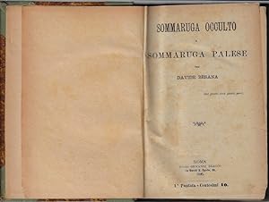 Bild des Verkufers fr Sommaruga occulto e Sommaruga palese zum Verkauf von Romanord