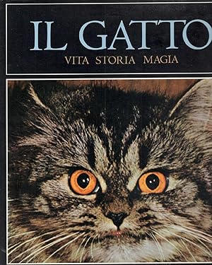 Il gatto, vita, storia, magia