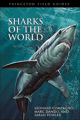 Seller image for Sharks of the World (Paperback or Softback) for sale by BargainBookStores