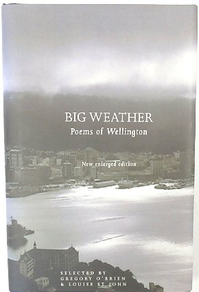 Image du vendeur pour Big Weather: Poems of Wellington mis en vente par PsychoBabel & Skoob Books