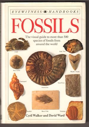 Imagen del vendedor de Fossils. The visual guide to more than 500 species of fossils from around the world. a la venta por Antiquariat Neue Kritik