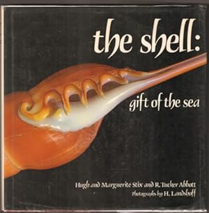 Bild des Verkufers fr The Shell: Gift of the Sea. zum Verkauf von Antiquariat Neue Kritik