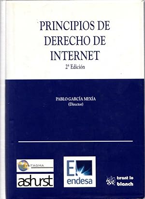 Image du vendeur pour PRINCIPIOS DE DERECHO DE INTERNET mis en vente par LLIBRERIA TECNICA