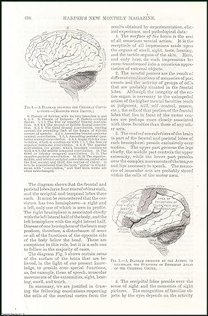 Immagine del venditore per The Brain of Man, its Architecture & Requirements : some thirty-six years ago, by a premature explosion of gunpowder, an iron bar three & a half feet long, one & a quarter inches in diameter, & weighing thirteen & a quarter pounds, was shot completely through a man's head & perforted his brain. An uncommon original article from the Harper's Monthly Magazine, 1885. venduto da Cosmo Books