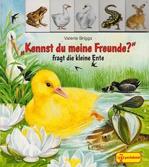 Bild des Verkufers fr Kennst du meine Freunde? fragt die kleine Ente zum Verkauf von AMAHOFF- Bookstores