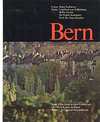 Bild des Verkufers fr Bern. Die Stadt in ihrer Landschaft. zum Verkauf von Bcher Eule
