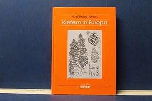 Kiefern in Europa Bildtafeln und Beschreibungen der in europäischen Wäldern, Gärten und Parks anz...