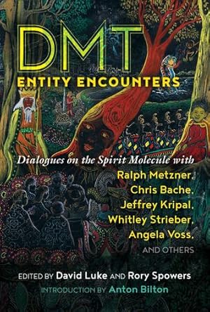 Seller image for DMT Entity Encounters: Dialogues on the Spirit Molecule with Ralph Metzner, Chris Bache, Jeffrey Kripal, Whitley Strieber, Angela Voss, and Others [Paperback ] for sale by booksXpress