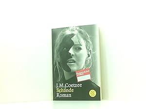 Imagen del vendedor de Schande: Roman a la venta por Book Broker