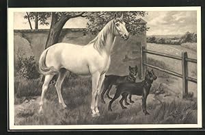 Künstler-Ansichtskarte Tierfreundschaft, zwei Hunde gemeinsam mit einem Pferd