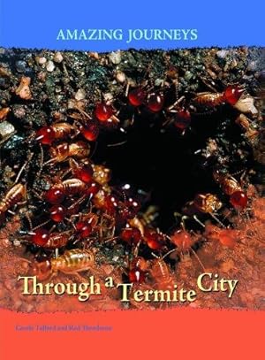 Bild des Verkufers fr Through a Termite City (Amazing Journeys) zum Verkauf von WeBuyBooks