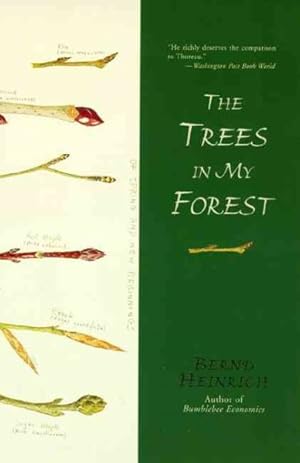 Seller image for Trees in My Forest for sale by GreatBookPrices