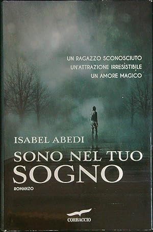 Seller image for Sono nel tuo sogno for sale by Librodifaccia