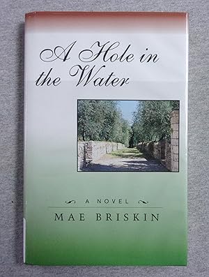 Immagine del venditore per A Hole in the Water venduto da Book Nook