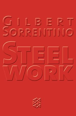 Imagen del vendedor de Steelwork: Ein Brooklyn-Roman (Fischer Taschenbcher) a la venta por Versandantiquariat Felix Mcke