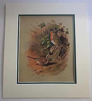 Bild des Verkufers fr Dunnock & Robin (1978 Lithograph Birds Print) zum Verkauf von Maynard & Bradley