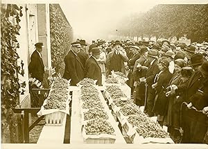 "Vente LA TREILLE DU ROI (FONTAINEBLEAU 1931)" Photo de presse originale par G. DEVRED / Agence R...