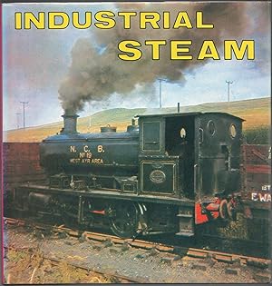 Industrial Steam