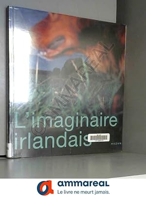 Seller image for L'imaginaire irlandais : 1996, [rd. par Dorothy Walker, Liam Kelly, Luke Gibbons, et al.] for sale by Ammareal