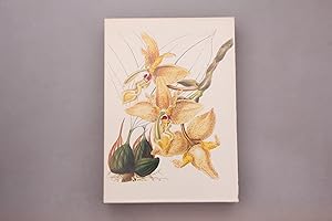 Imagen del vendedor de ORCHIDS FROM THE BOTANICAL REGISTER 1815-1847. a la venta por INFINIBU KG