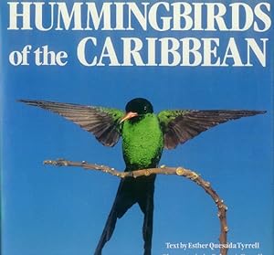 Imagen del vendedor de Hummingbirds Of The Caribbean a la venta por Paperback Recycler