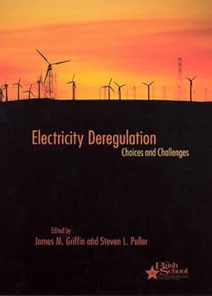 Immagine del venditore per Electricity Deregulation : Choices And Challenges venduto da GreatBookPricesUK