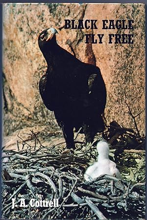 Imagen del vendedor de Black Eagle Fly Free a la venta por Christison Rare Books, IOBA SABDA