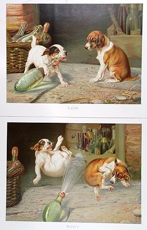 CAUSE and EFFECT. Two young dog puppies attempting to open a bottle of sparkling wine, with d...