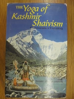 Seller image for Consciousness Is Everything: The Yoga of Kashmir Shaivism for sale by Librairie du Levant