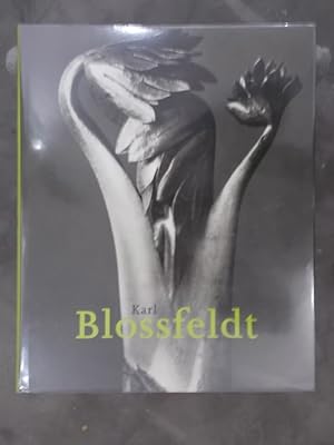Seller image for KARL BLOSSFELDT 1865-1932 for sale by Librairie du Levant